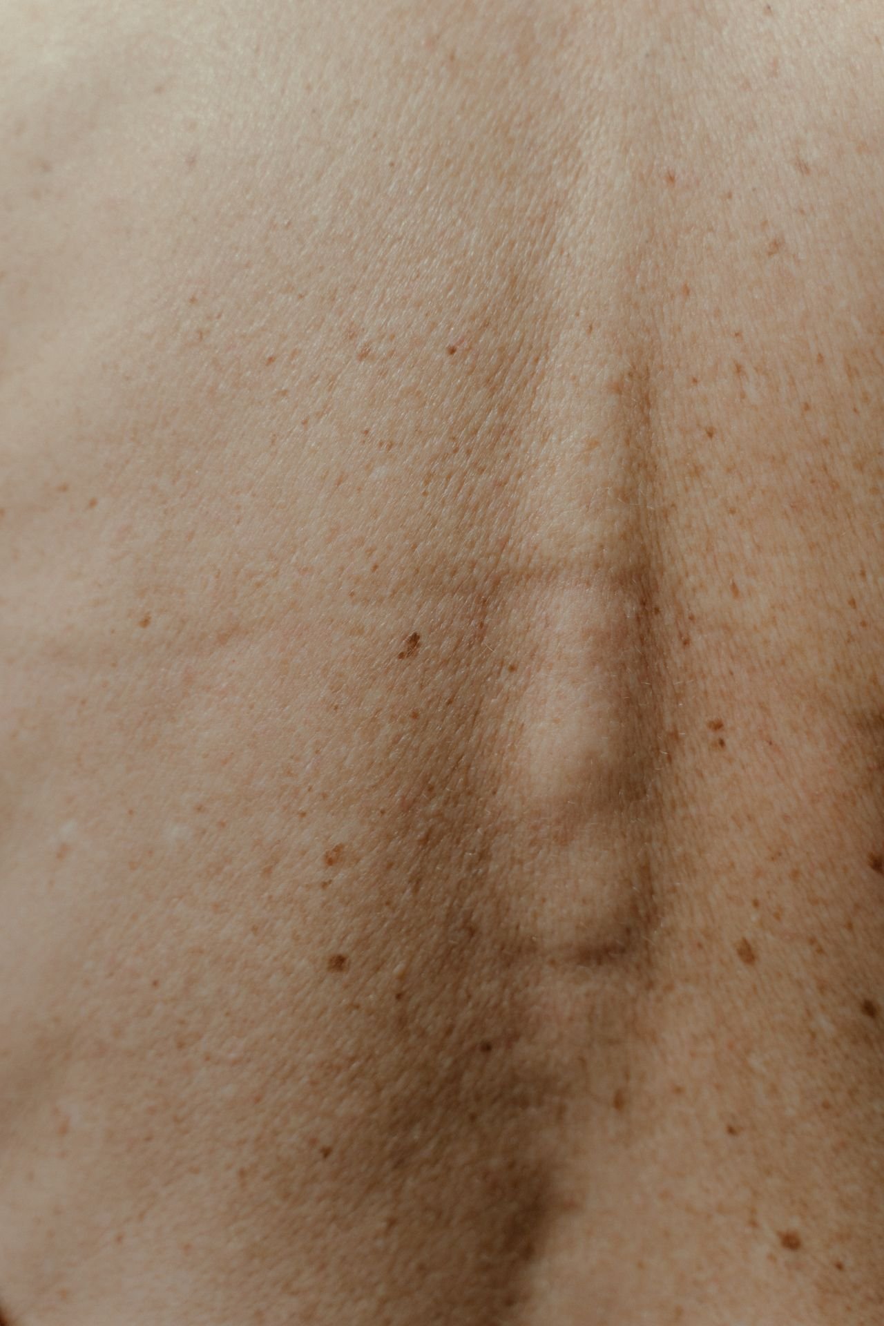 pexels-ron-lach-8624582